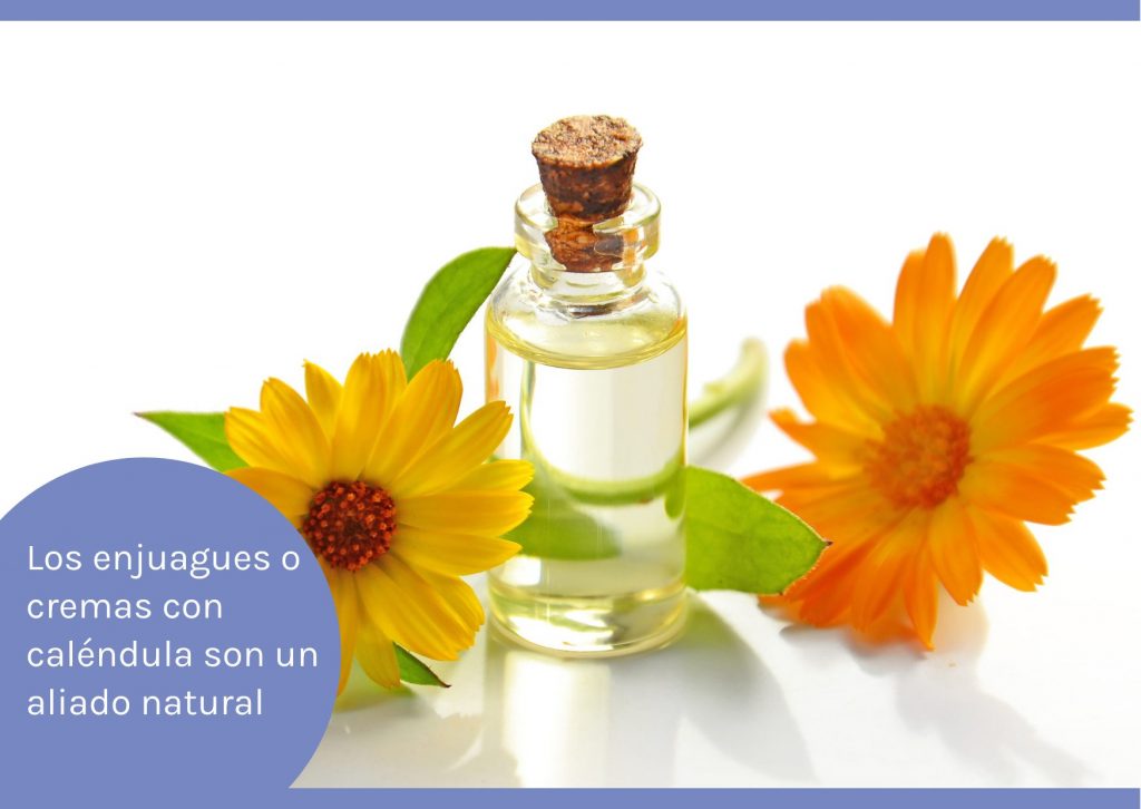 calendula para el sangrado de encías